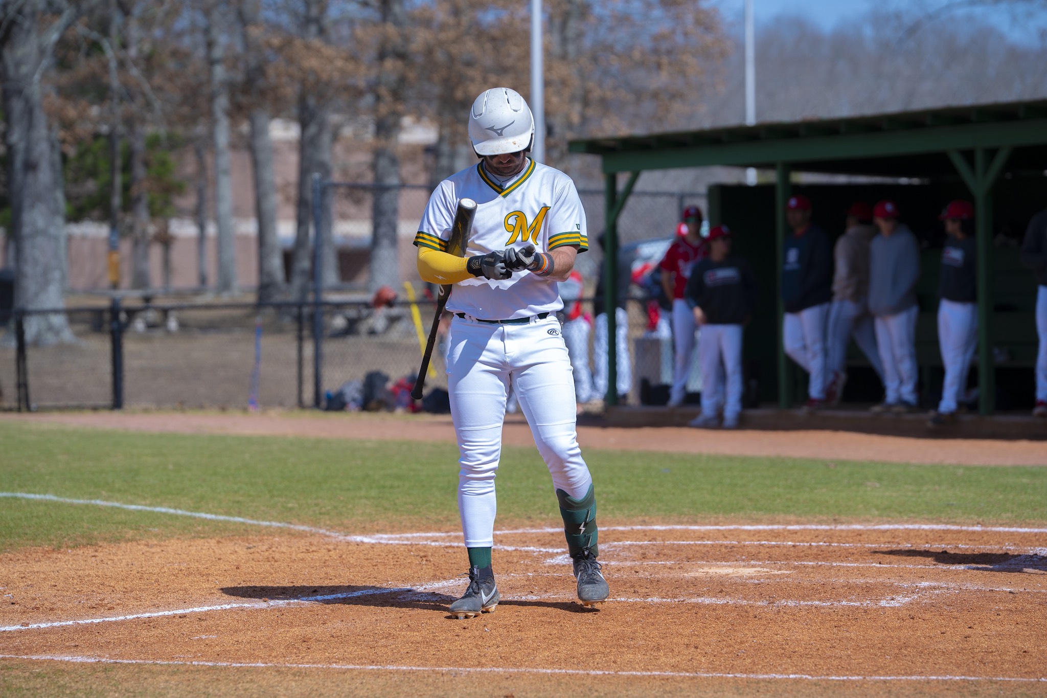 Baseball: Bucks Take Series Win Over Cleveland State